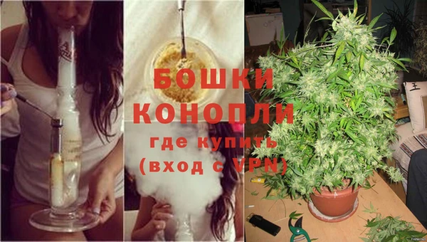 мдпв Надым