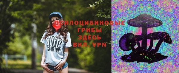 дживик Навашино