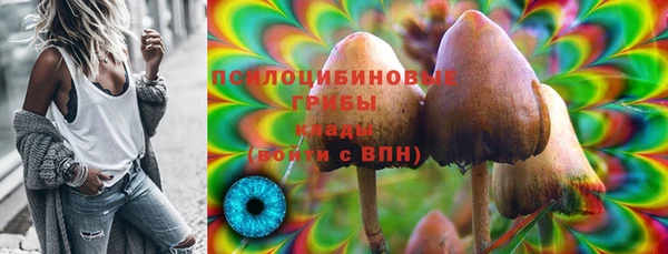 мдпв Надым