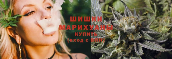 мдпв Надым