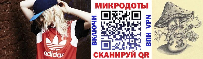 мориарти клад  Разумное  Псилоцибиновые грибы Psilocybe 